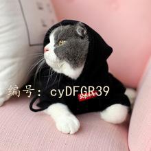 㶫ʡ